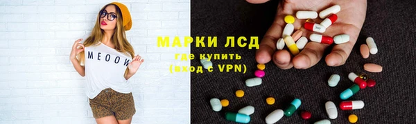 мяу мяу мука Белокуриха