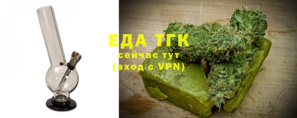 индика Богородск