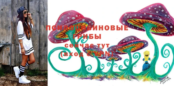 мяу мяу мука Белокуриха