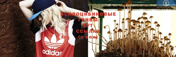 мет Богородицк