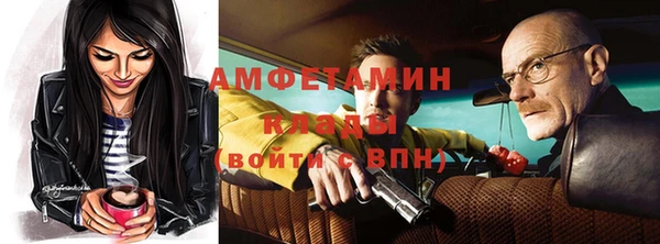 индика Богородск