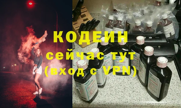 индика Богородск